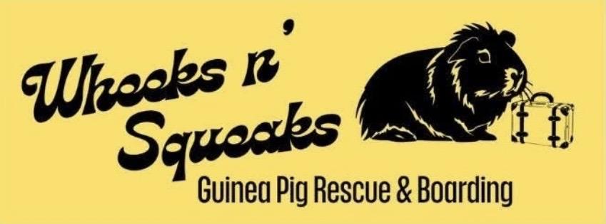 Wheeks n' Squeaks
