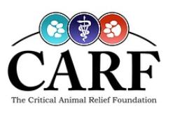 CARF: The Critical Animal Relief Foundation