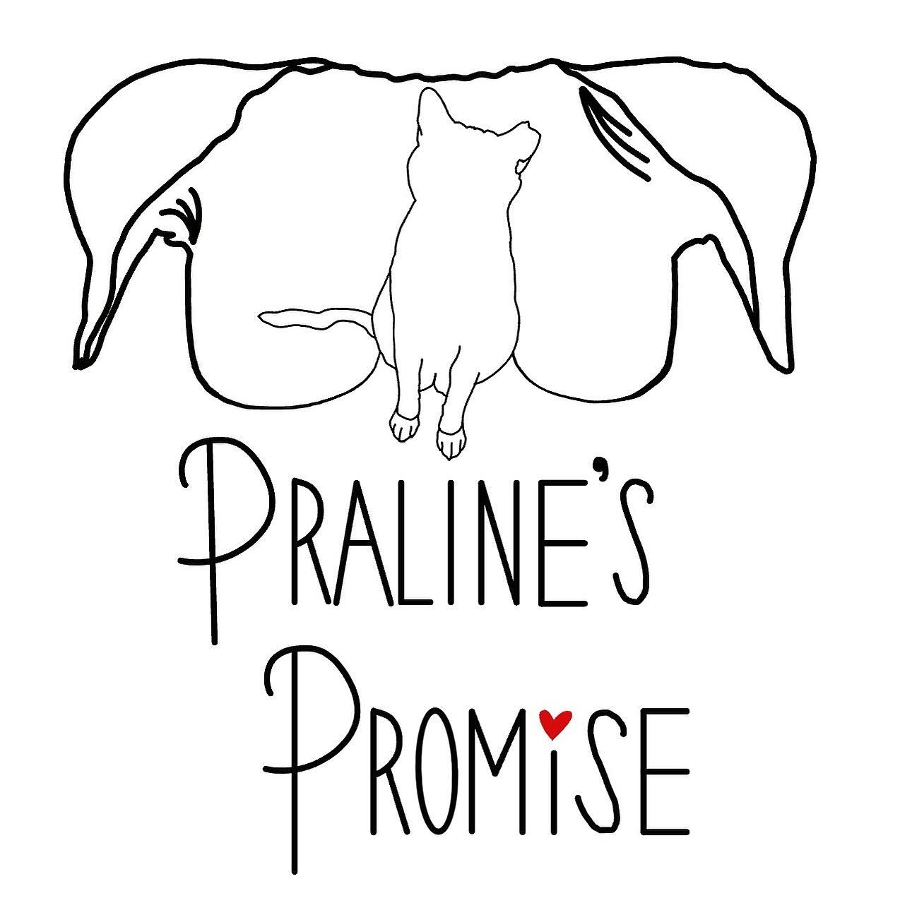 Praline's Promise