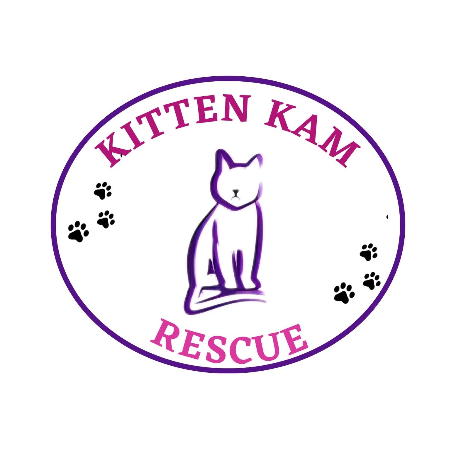 Kitten Kam Rescue