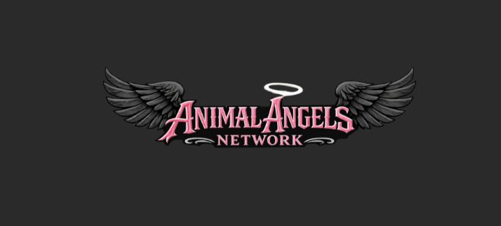 Animal Angels Network