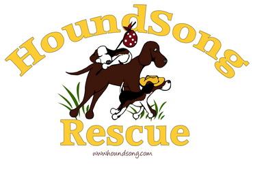 HoundSong Rescue