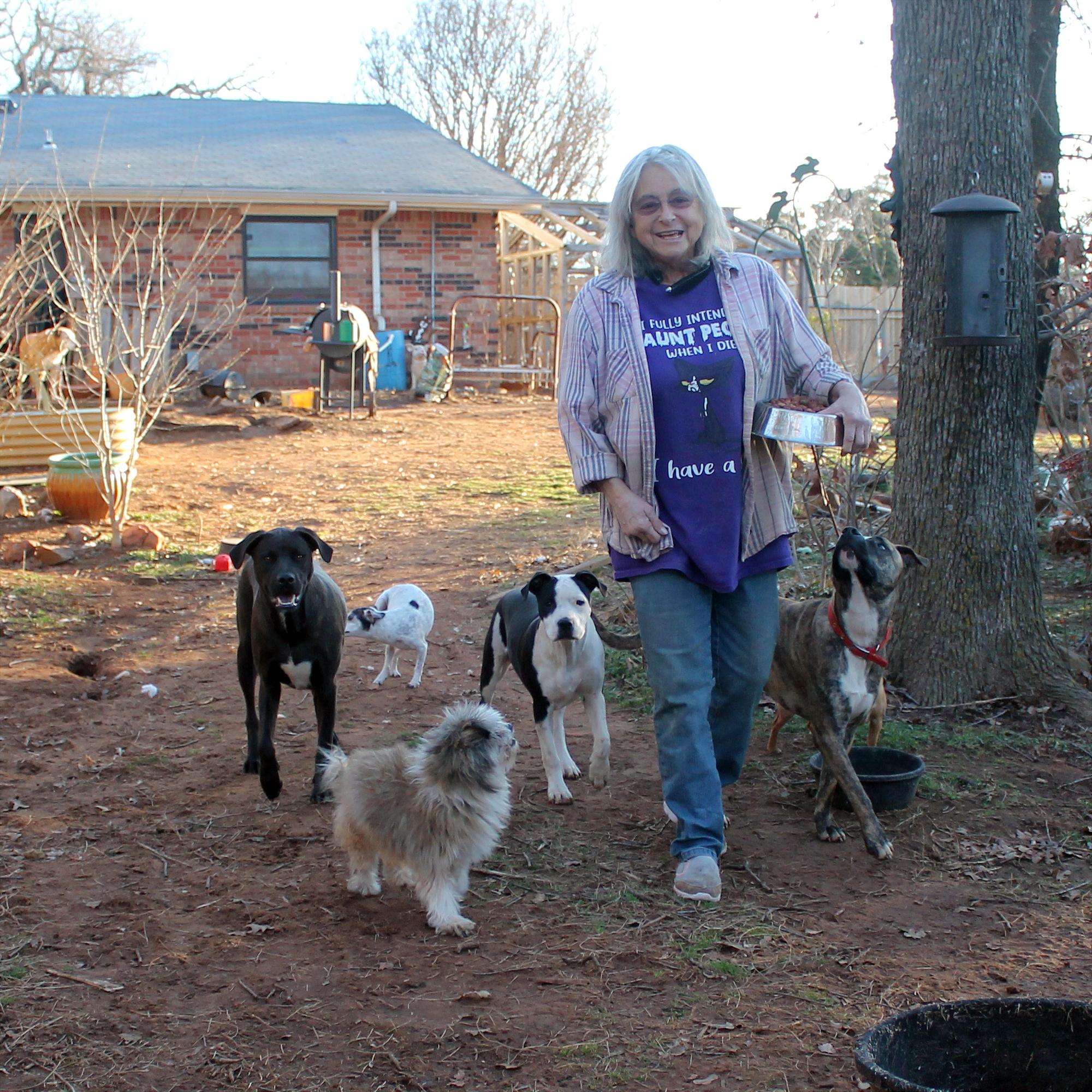 Sandy's Sanctuary and Rescue, Inc. photo 1