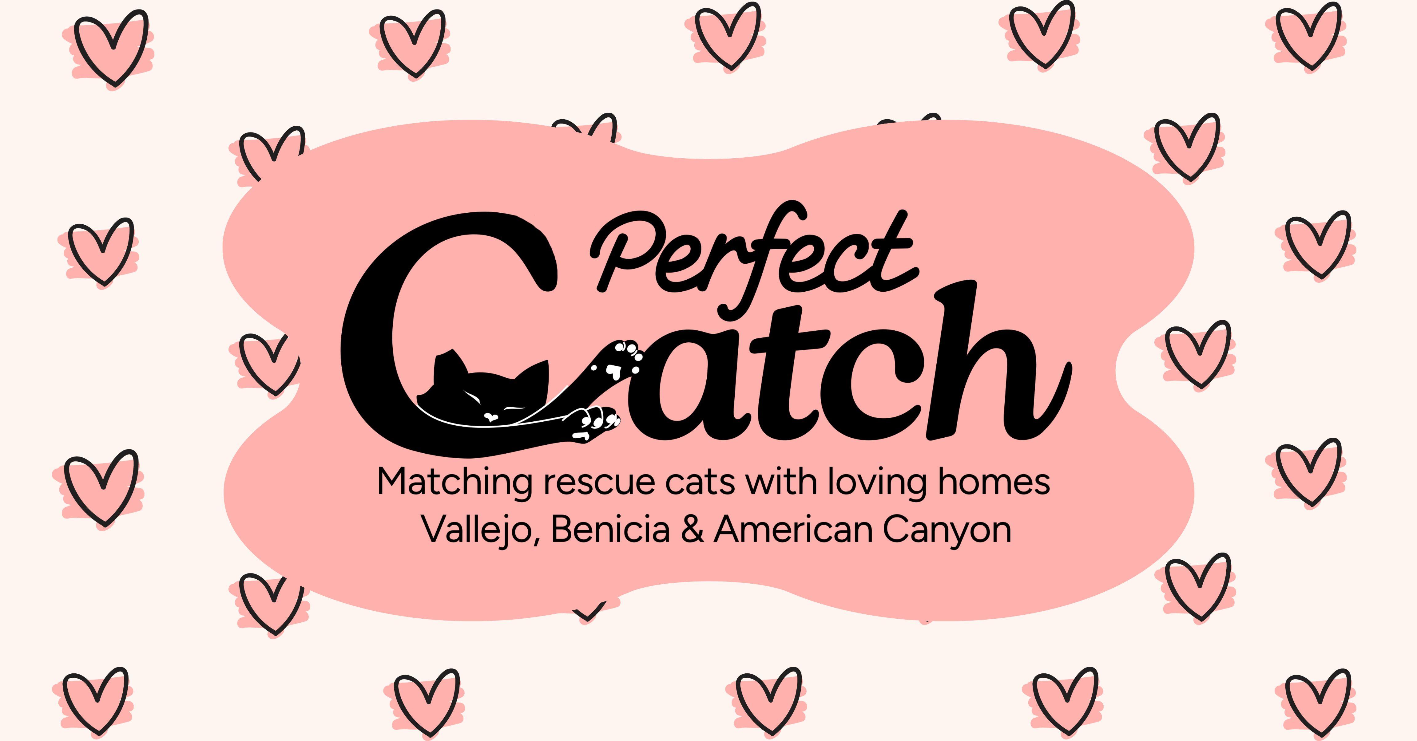 The Perfect CATch Rescue, Inc.