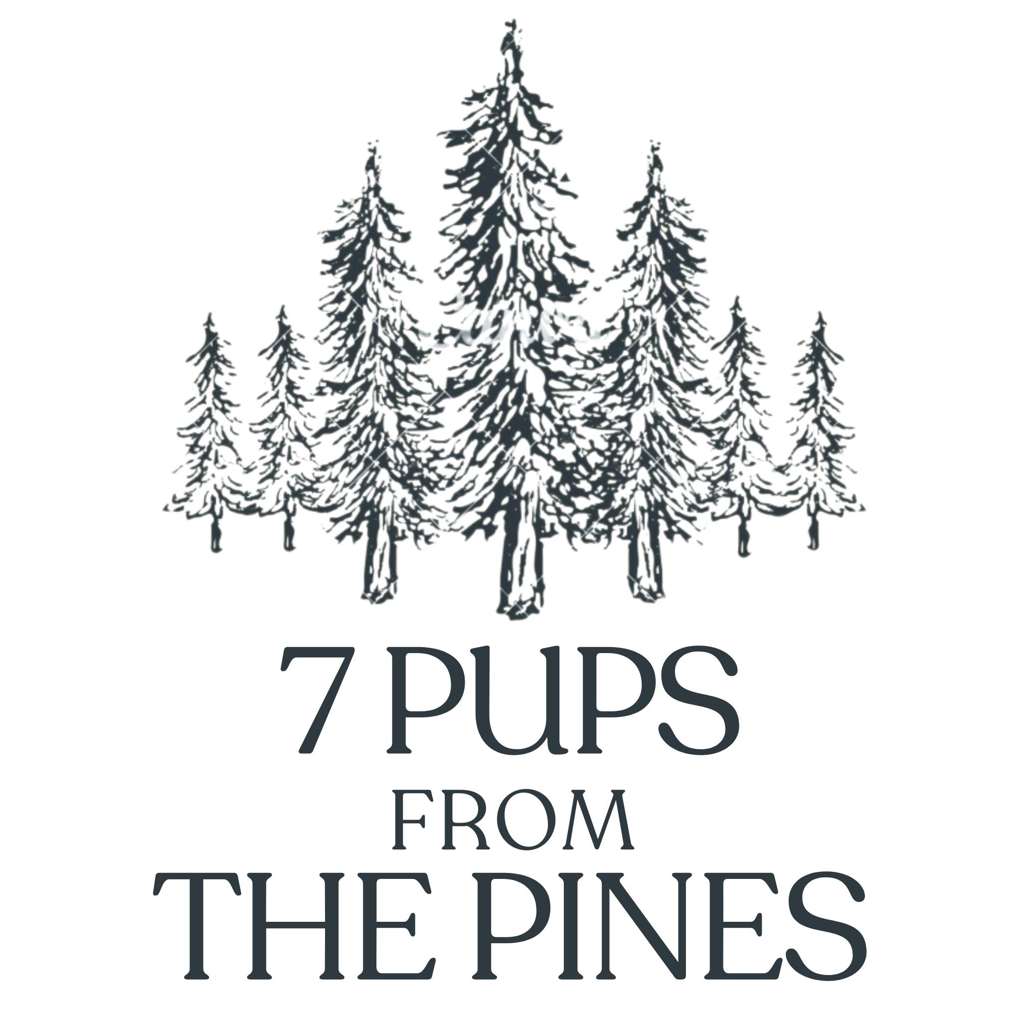 7 Pups from the Pines TX