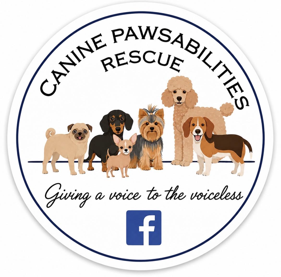 Canine Pawsabilities