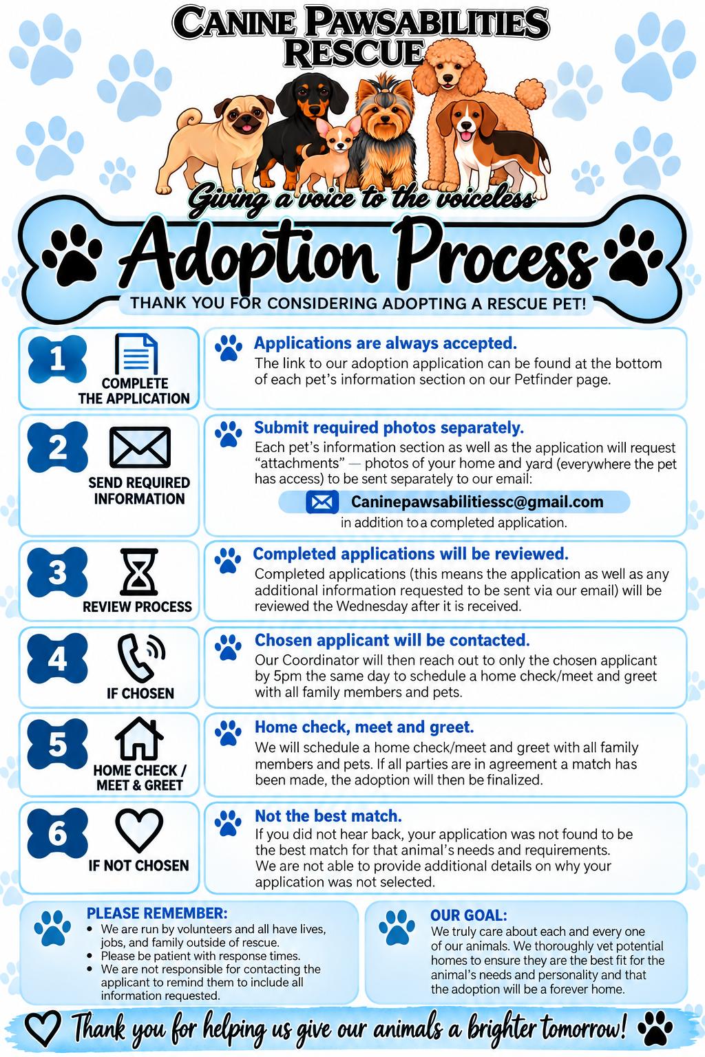 Canine Pawsabilities photo 3