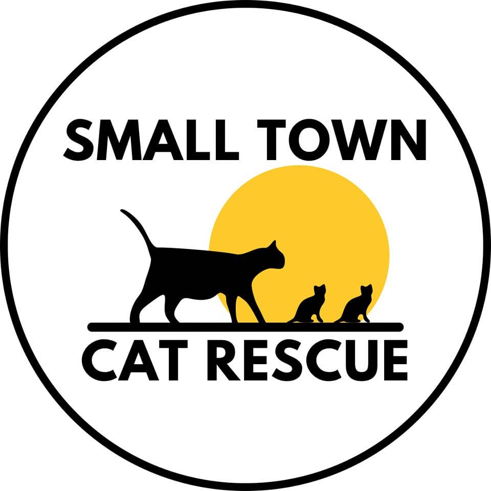 Small Town Cat Rescue