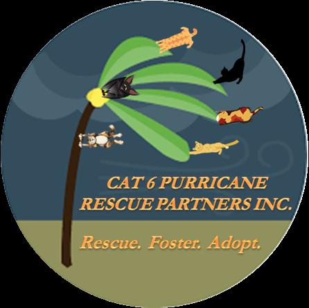 Cat 6 Purricane Rescue Partners, Inc.
